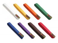 Dax Judo Wettkampfgürtel in Orange Dax Judo Wettkampfgürtel in Orange