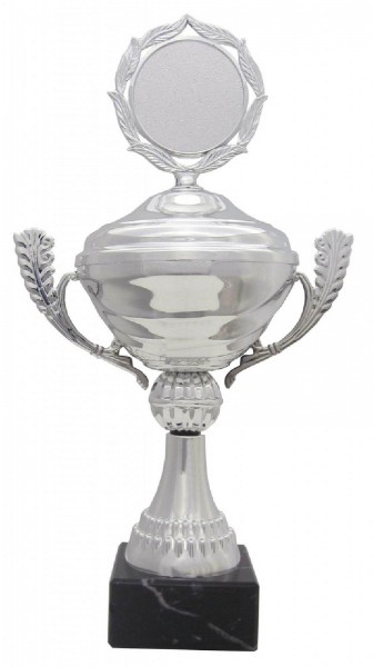 Ju-Sports Pokal "Alaska" in silber