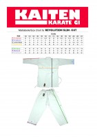 Vorschau: KAITEN Karateanzug REVOLUTION Spirit SLIM Vorschau: KAITEN Karateanzug REVOLUTION Spirit SLIM